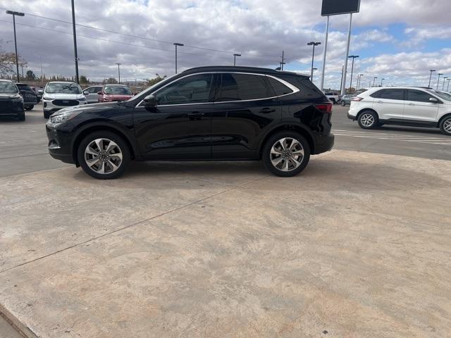 2024 Ford Escape Vehicle Photo in Winslow, AZ 86047-2439