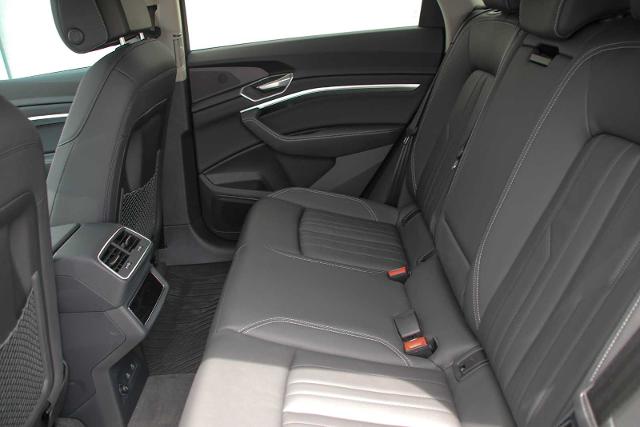 2022 Audi e-tron Vehicle Photo in SUGAR LAND, TX 77478