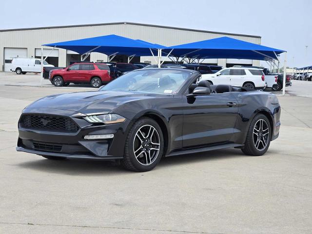 2022 Ford Mustang Vehicle Photo in DENTON, TX 76210-9321