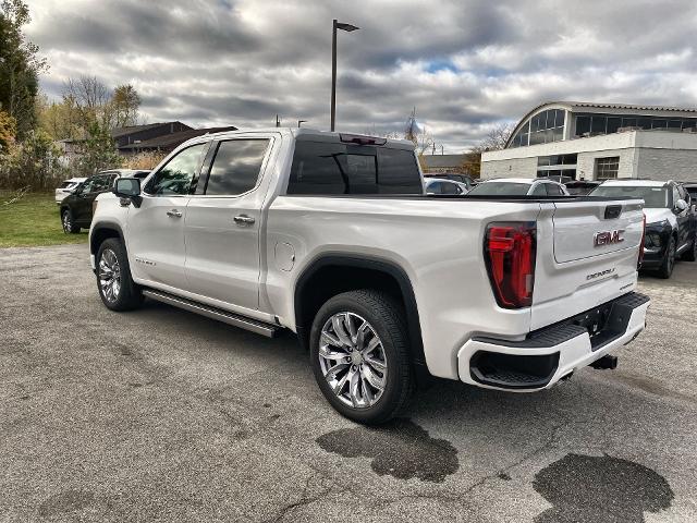 2024 GMC Sierra 1500 Vehicle Photo in WILLIAMSVILLE, NY 14221-2883