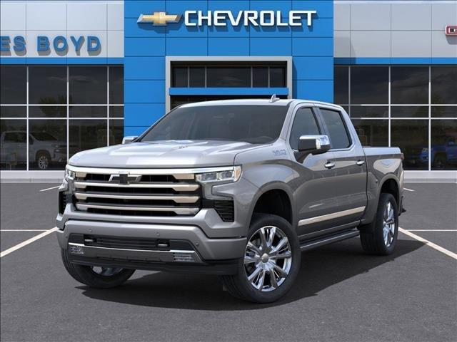 2025 Chevrolet Silverado 1500 Vehicle Photo in HENDERSON, NC 27536-2966