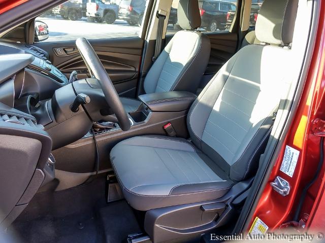 2019 Ford Escape Vehicle Photo in OAK LAWN, IL 60453-2517