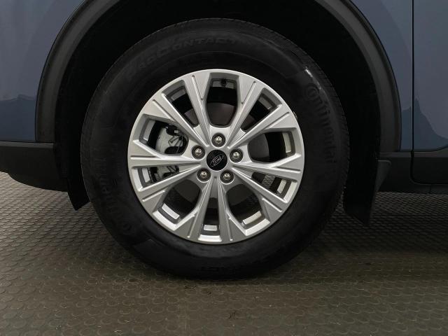 2024 Ford Escape Vehicle Photo in Appleton, WI 54913