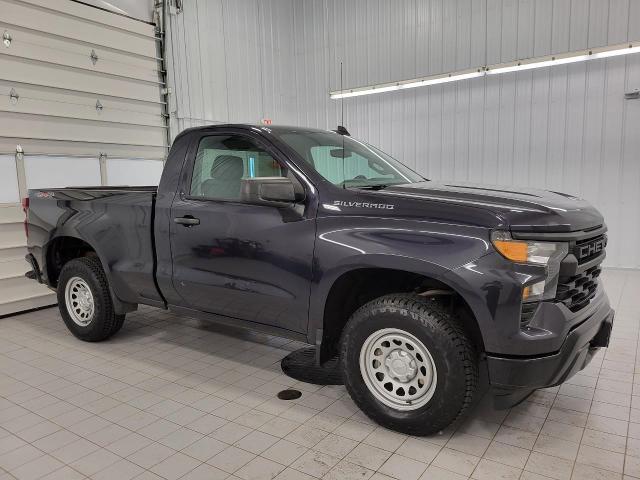 2024 Chevrolet Silverado 1500 Vehicle Photo in APPLETON, WI 54914-4656