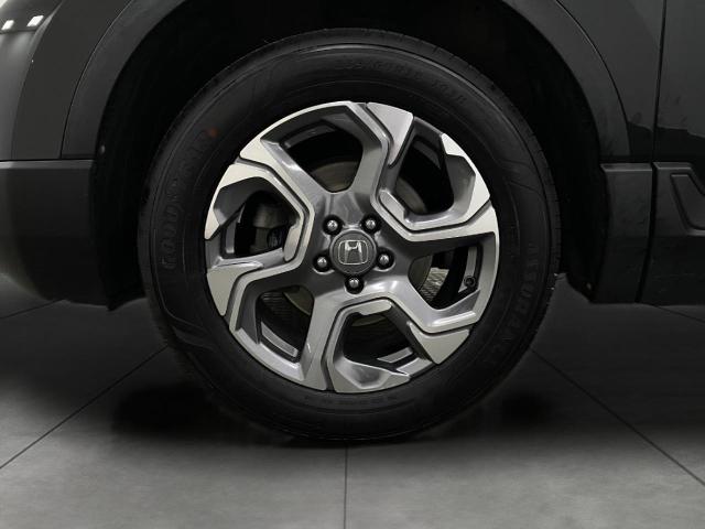 2019 Honda CR-V Vehicle Photo in Appleton, WI 54913