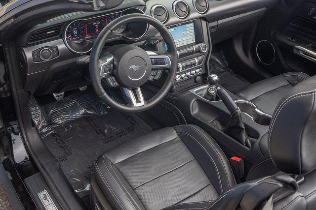 2019 Ford Mustang Vehicle Photo in DANBURY, CT 06810-5034