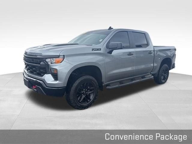 2024 Chevrolet Silverado 1500 Vehicle Photo in Fishers, IN 46038
