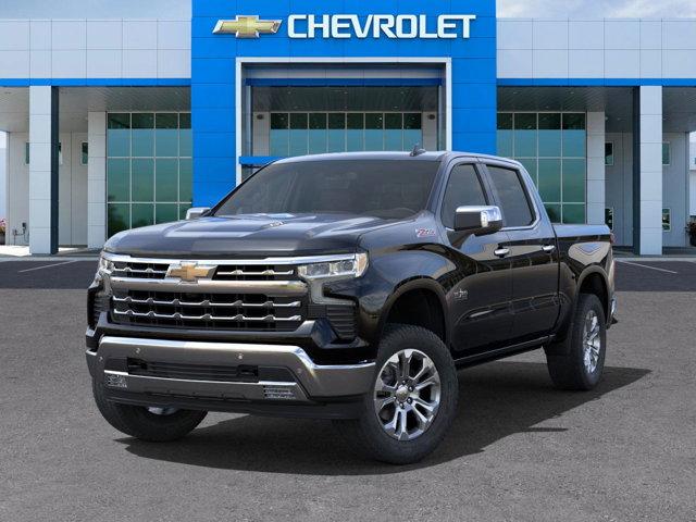 2024 Chevrolet Silverado 1500 Vehicle Photo in SELMA, TX 78154-1460