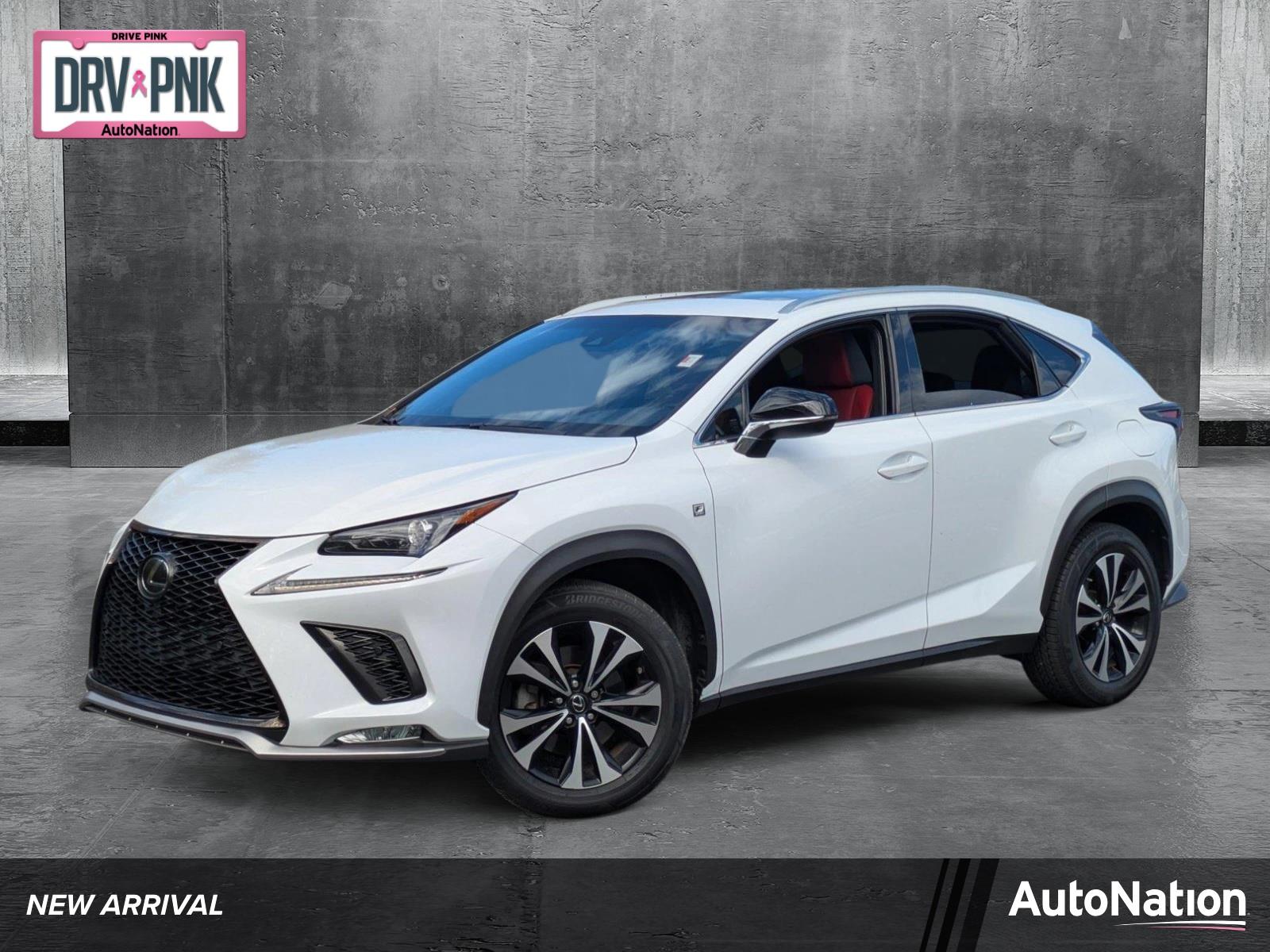 2019 Lexus NX 300 Vehicle Photo in Clearwater, FL 33761