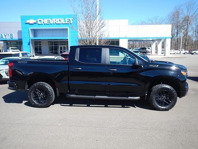 2025 Chevrolet Silverado 1500 Vehicle Photo in JASPER, GA 30143-8655