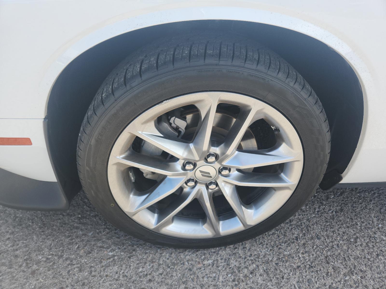 2023 Dodge Challenger Vehicle Photo in Albuquerque, NM 87110