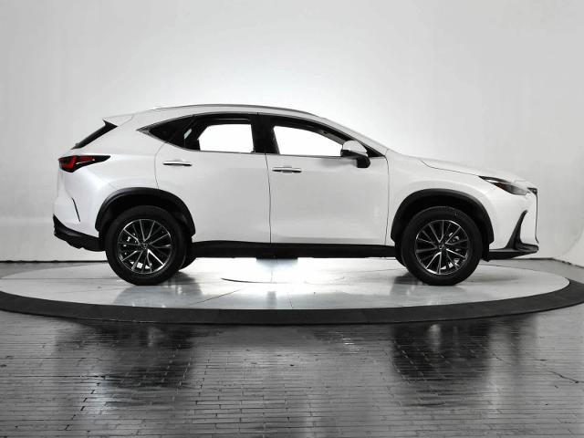 2024 Lexus NX 250 Vehicle Photo in DALLAS, TX 75235