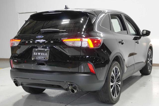 2022 Ford Escape Vehicle Photo in GRAPEVINE, TX 76051