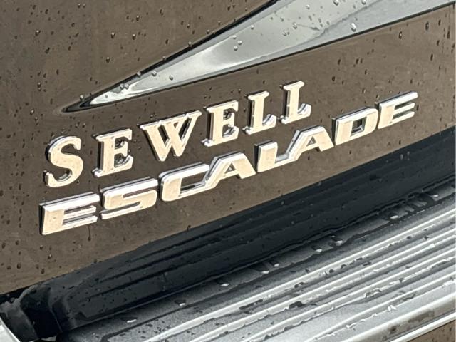 2023 Cadillac Escalade ESV Vehicle Photo in Grapevine, TX 76051