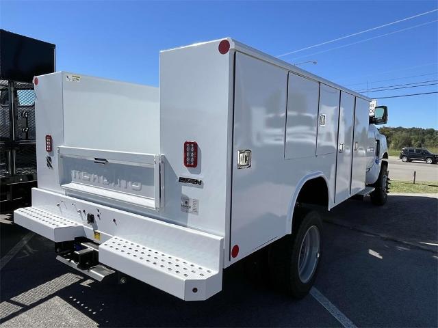 2024 Chevrolet Silverado 4500 HD Vehicle Photo in ALCOA, TN 37701-3235