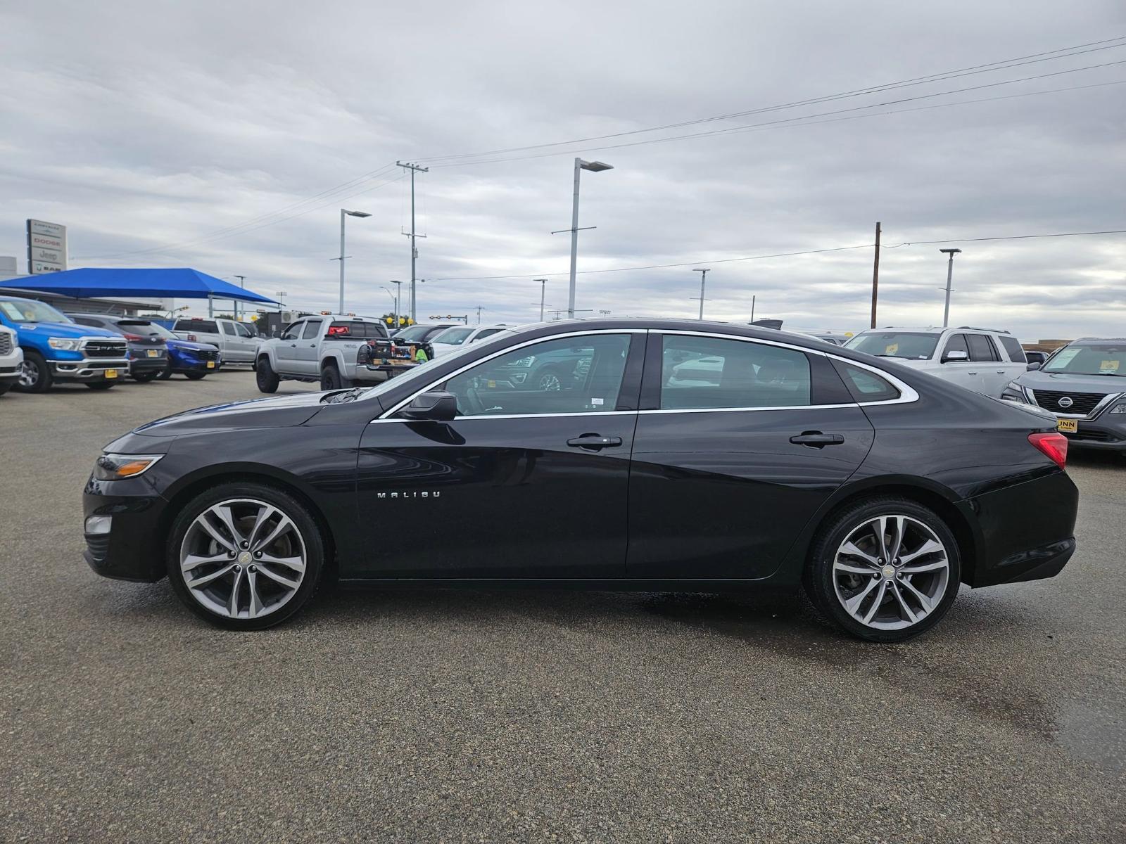 2023 Chevrolet Malibu Vehicle Photo in Seguin, TX 78155