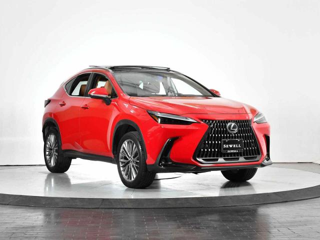 2022 Lexus NX 350 Vehicle Photo in DALLAS, TX 75235