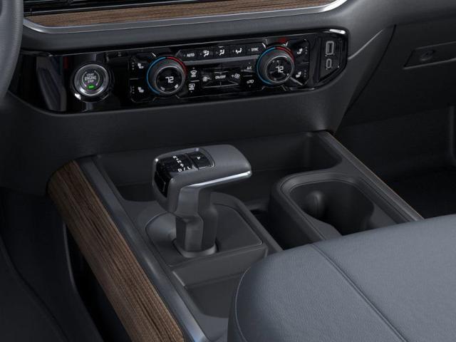 2024 Chevrolet Silverado 1500 Vehicle Photo in BEAUFORT, SC 29906-4218