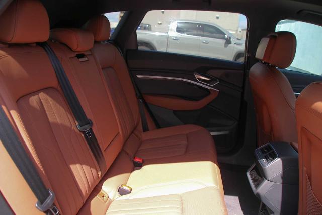 2022 Audi e-tron Vehicle Photo in SUGAR LAND, TX 77478