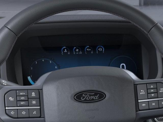 2025 Ford F-150 Vehicle Photo in Neenah, WI 54956