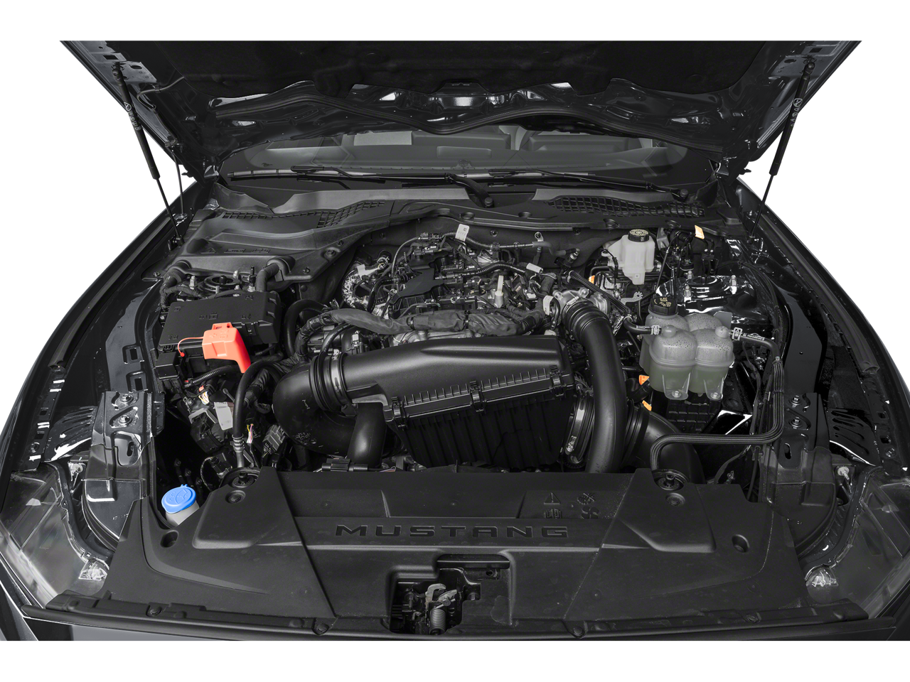 2024 Ford Mustang Vehicle Photo in Green Bay, WI 54304