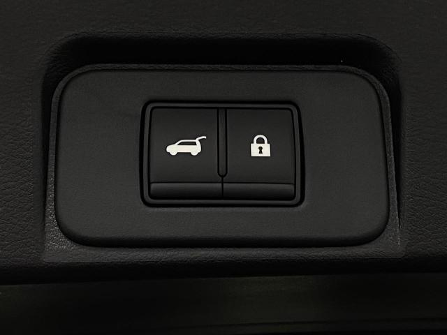 2025 Nissan Rogue Vehicle Photo in Oshkosh, WI 54904
