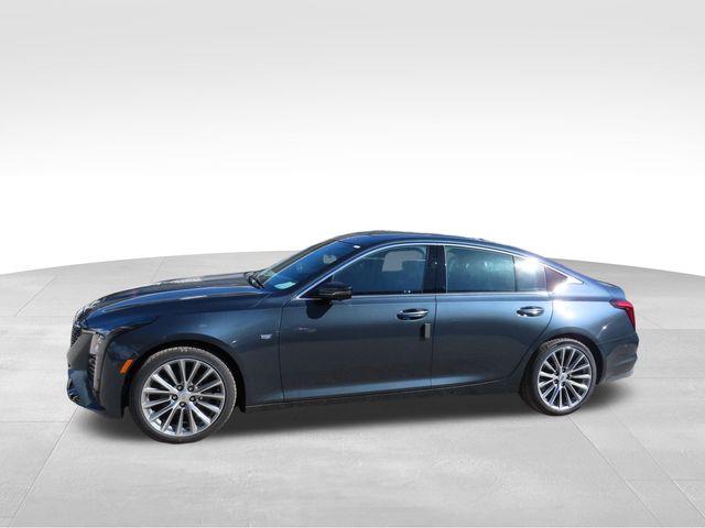 2025 Cadillac CT5 Vehicle Photo in DELRAY BEACH, FL 33483-3294