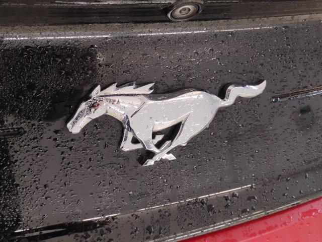 2021 Ford Mustang Vehicle Photo in Charlotte, NC 28212