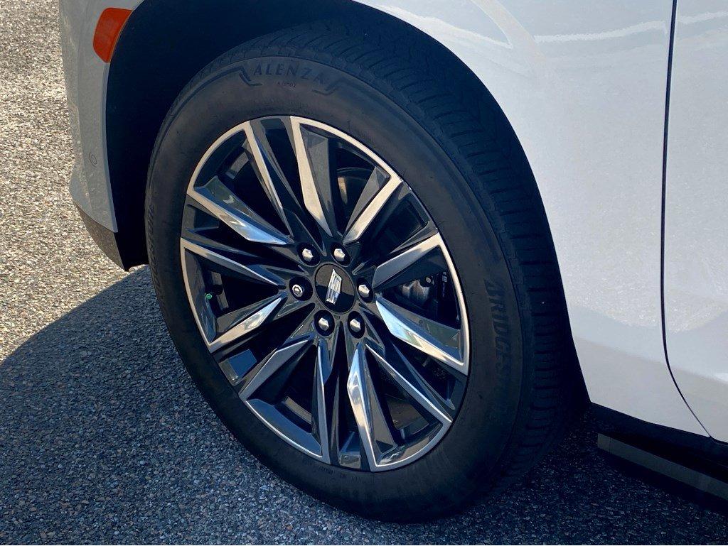 2022 Cadillac Escalade Vehicle Photo in SAVANNAH, GA 31406-4513
