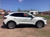 Used 2020 Ford Escape Titanium with VIN 1FMCU9DZXLUC38946 for sale in Ewen, MI