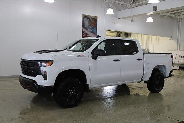 2025 Chevrolet Silverado 1500 Vehicle Photo in MEDINA, OH 44256-9001