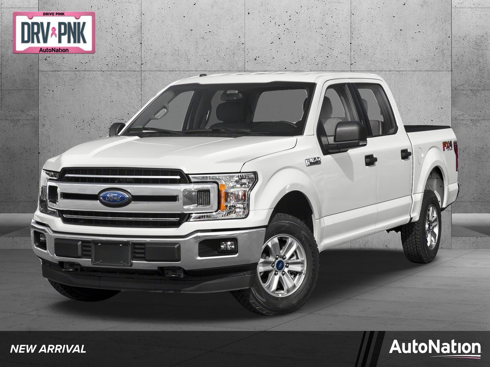 2019 Ford F-150 Vehicle Photo in AMARILLO, TX 79103-4111