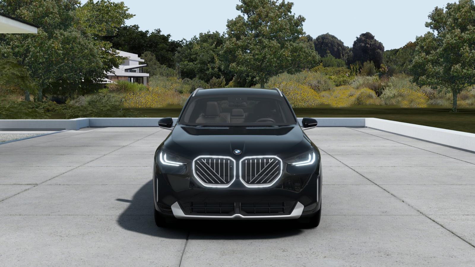 2025 BMW X3 30 xDrive Vehicle Photo in GRAPEVINE, TX 76051