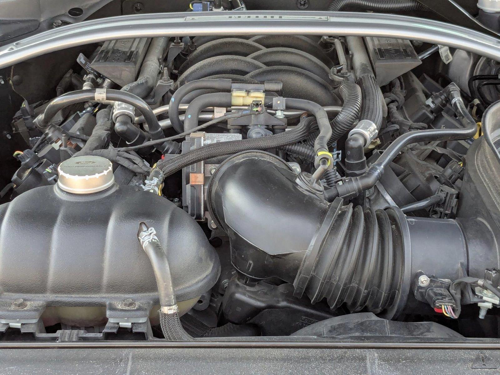 2019 Ford Mustang Vehicle Photo in St. Petersburg, FL 33713