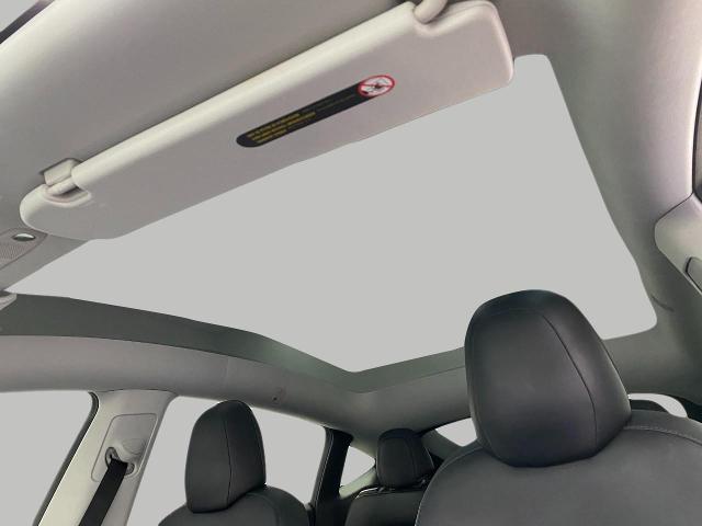 2021 Tesla Model Y Vehicle Photo in Appleton, WI 54913