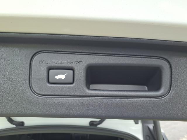 2026 Honda Passport Vehicle Photo in Oshkosh, WI 54904