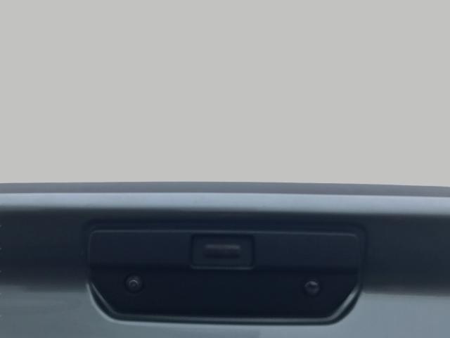 2019 Chevrolet Silverado 1500 Vehicle Photo in GREEN BAY, WI 54303-3330