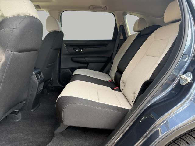 2024 Honda CR-V Vehicle Photo in Appleton, WI 54914