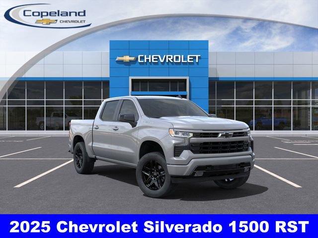 2025 Chevrolet Silverado 1500 Vehicle Photo in BROCKTON, MA 02301-7113