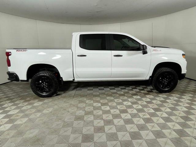 2025 Chevrolet Silverado 1500 Vehicle Photo in PHOENIX, AZ 85014-3381