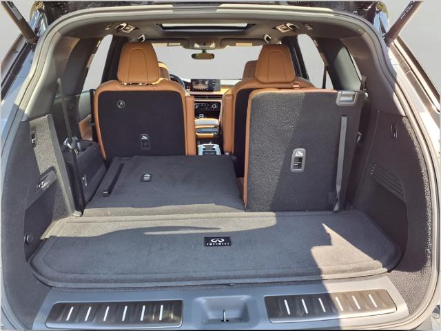 2024 INFINITI QX60 Vehicle Photo in Appleton, WI 54913