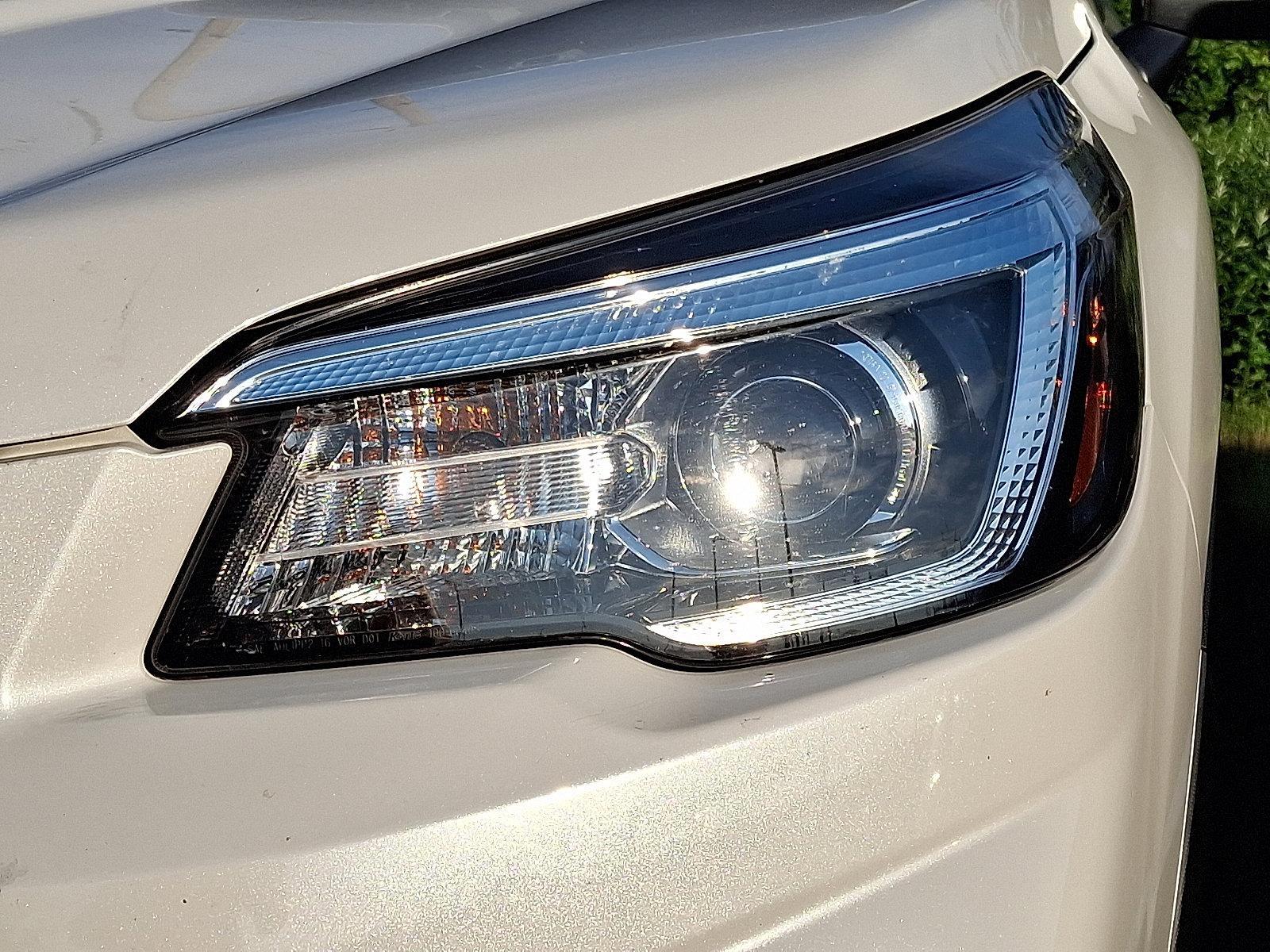 2019 Subaru Forester Vehicle Photo in Easton, PA 18045