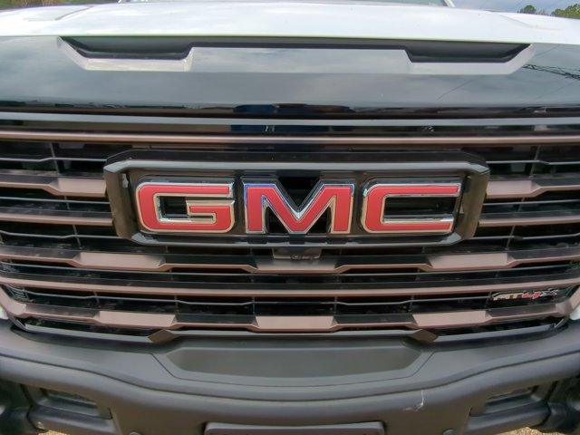 2025 GMC Sierra 1500 Vehicle Photo in ALBERTVILLE, AL 35950-0246