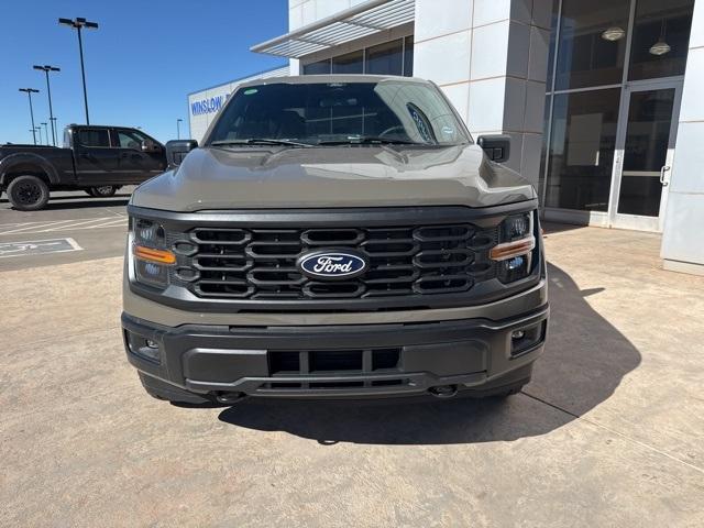 2025 Ford F-150 Vehicle Photo in Winslow, AZ 86047-2439