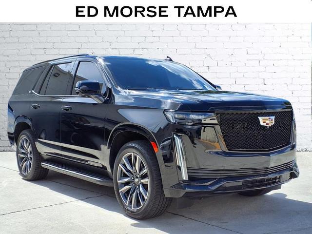 2021 Cadillac Escalade Vehicle Photo in Tampa, FL 33612
