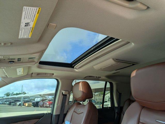 2020 Cadillac Escalade Vehicle Photo in SELMA, TX 78154-1460
