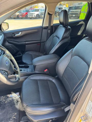 2020 Ford Escape Vehicle Photo in Peoria, IL 61615
