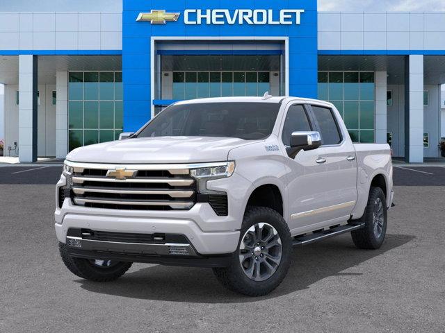 2025 Chevrolet Silverado 1500 Vehicle Photo in SELMA, TX 78154-1460