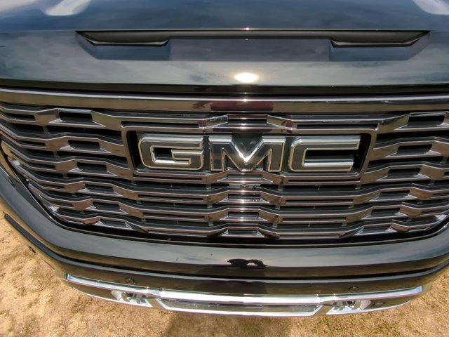 2025 GMC Sierra 1500 Vehicle Photo in ALBERTVILLE, AL 35950-0246