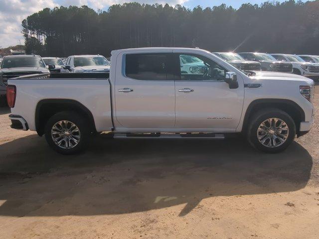 2025 GMC Sierra 1500 Vehicle Photo in ALBERTVILLE, AL 35950-0246